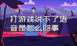 打游戏说不了语音是怎么回事