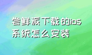 尝鲜派下载的ios系统怎么安装（尝鲜派更新ios安全吗）