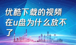 优酷下载的视频在u盘为什么放不了（优酷视频下载的东西怎样转到u盘）