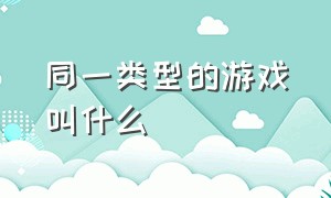 同一类型的游戏叫什么（同一类型的游戏叫什么游戏）