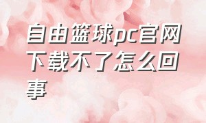 自由篮球pc官网下载不了怎么回事