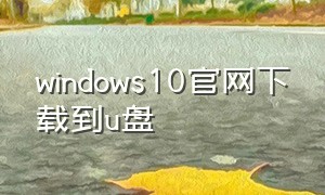 windows10官网下载到u盘