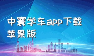 中寰学车app下载苹果版