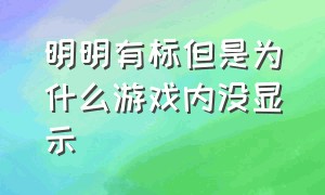 明明有标但是为什么游戏内没显示