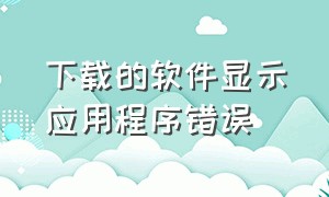 下载的软件显示应用程序错误