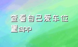 查看自己爱车位置app