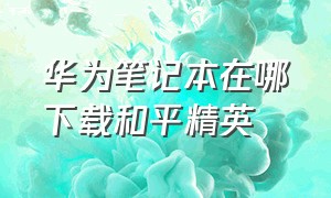 华为笔记本在哪下载和平精英