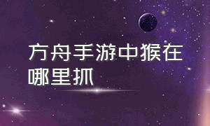 方舟手游中猴在哪里抓