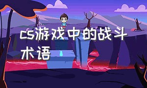 cs游戏中的战斗术语