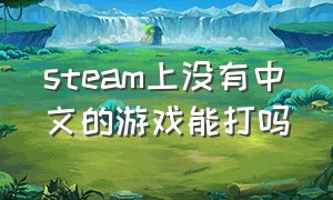 steam上没有中文的游戏能打吗