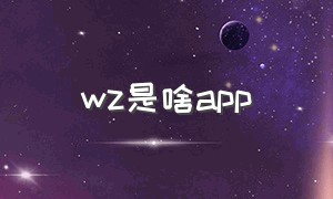 wz是啥app