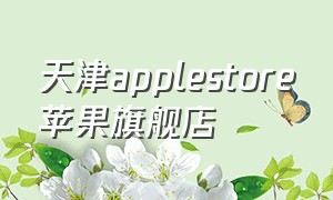 天津applestore苹果旗舰店