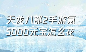 天龙八部2手游氪5000元宝怎么花