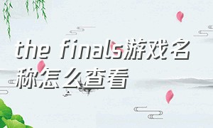 the finals游戏名称怎么查看