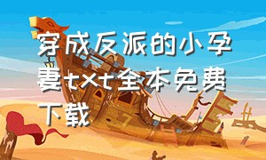 穿成反派的小孕妻txt全本免费下载