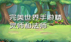 完美世界手游精灵师和法师