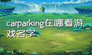 carparking在哪看游戏名字
