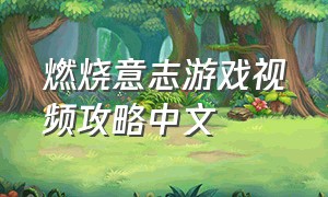 燃烧意志游戏视频攻略中文