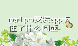 ipad pro安装app卡住了什么问题