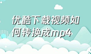 优酷下载视频如何转换成mp4