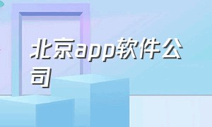 北京app软件公司