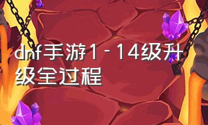 dnf手游1-14级升级全过程