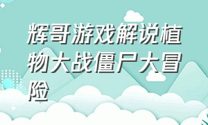 辉哥游戏解说植物大战僵尸大冒险