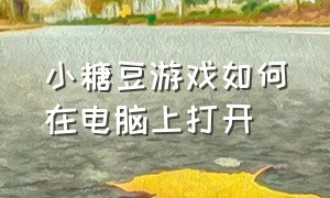 小糖豆游戏如何在电脑上打开