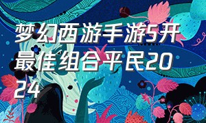 梦幻西游手游5开最佳组合平民2024