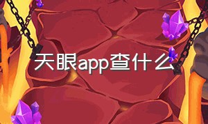 天眼app查什么