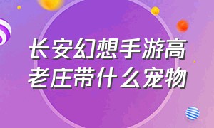 长安幻想手游高老庄带什么宠物