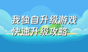 我独自升级游戏快速升级攻略