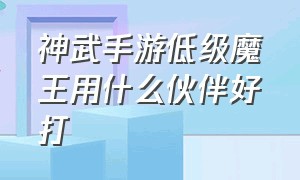 神武手游低级魔王用什么伙伴好打