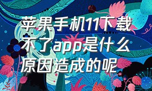 苹果手机11下载不了app是什么原因造成的呢