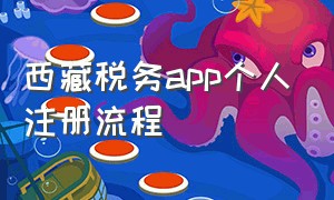 西藏税务app个人注册流程