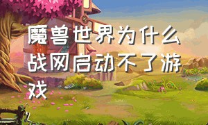 魔兽世界为什么战网启动不了游戏