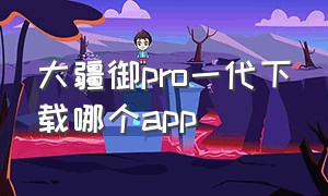 大疆御pro一代下载哪个app