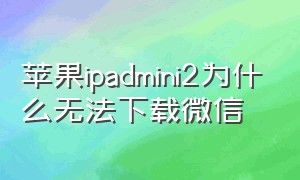 苹果ipadmini2为什么无法下载微信