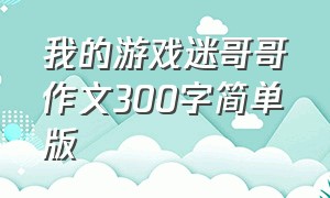 我的游戏迷哥哥作文300字简单版