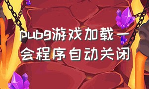 pubg游戏加载一会程序自动关闭