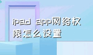 ipad app网络权限怎么设置