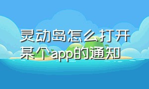 灵动岛怎么打开某个app的通知