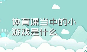 体育课当中的小游戏是什么