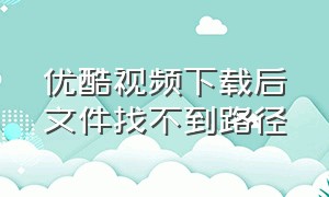 优酷视频下载后文件找不到路径