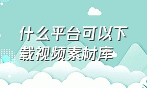 什么平台可以下载视频素材库