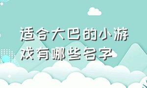 适合大巴的小游戏有哪些名字