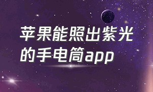 苹果能照出紫光的手电筒app