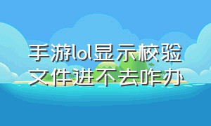 手游lol显示校验文件进不去咋办