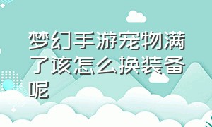 梦幻手游宠物满了该怎么换装备呢