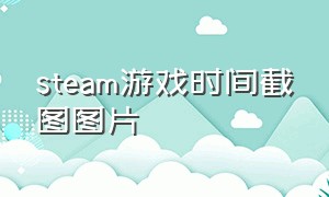 steam游戏时间截图图片